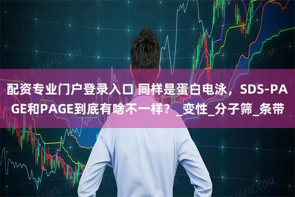 配资专业门户登录入口 同样是蛋白电泳，SDS-PAGE和PAGE到底有啥不一样？_变性_分子筛_条带