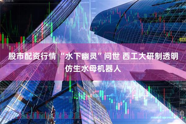 股市配资行情 “水下幽灵”问世 西工大研制透明仿生水母机器人